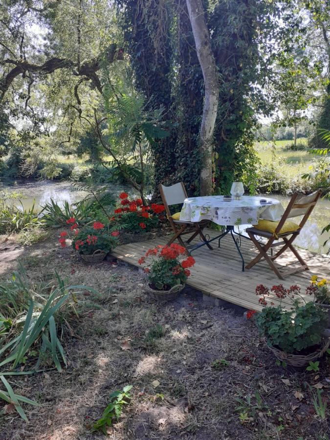 gîte rivière peyrona parc visite zoo beauval et châteaux de Loire Beaulieu-lès-Loches Exterior foto
