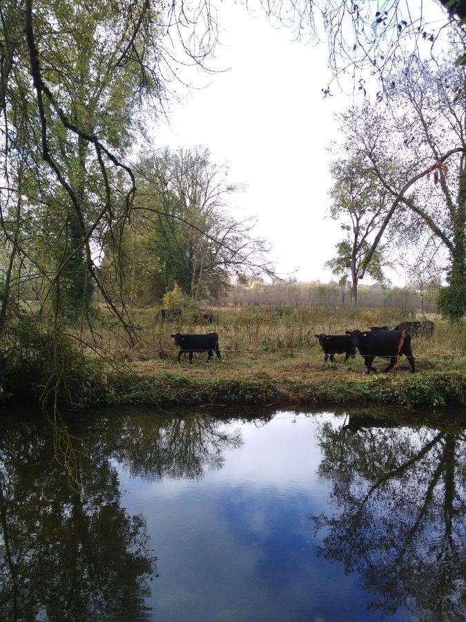 gîte rivière peyrona parc visite zoo beauval et châteaux de Loire Beaulieu-lès-Loches Exterior foto